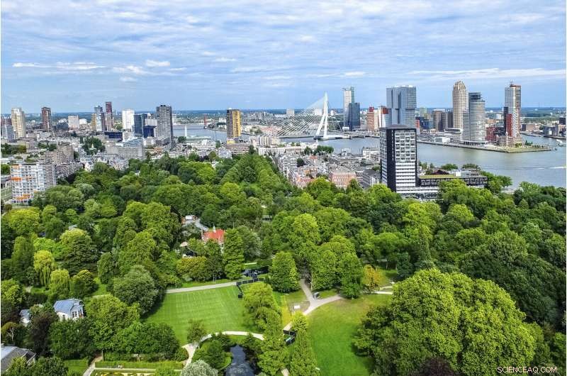 Achieving Sustainable Prosperity: How Green Growth Delivers Both Environmental and Economic Benefits