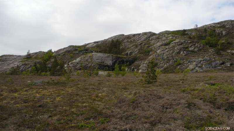 Arctic Browning: Rising Temperatures Threaten Polar Ecosystems