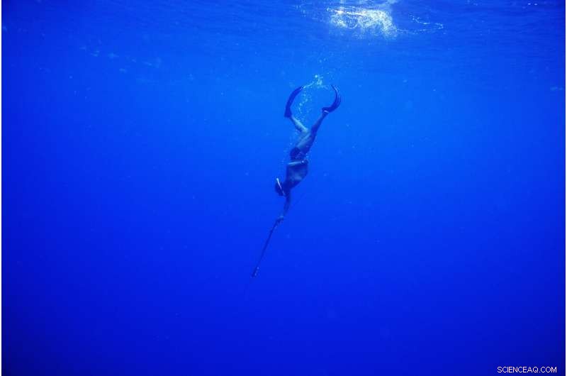 Jamaica s Coral Reefs Rebound: How a Surprise Rescue Demonstrates Nature s Healing Power