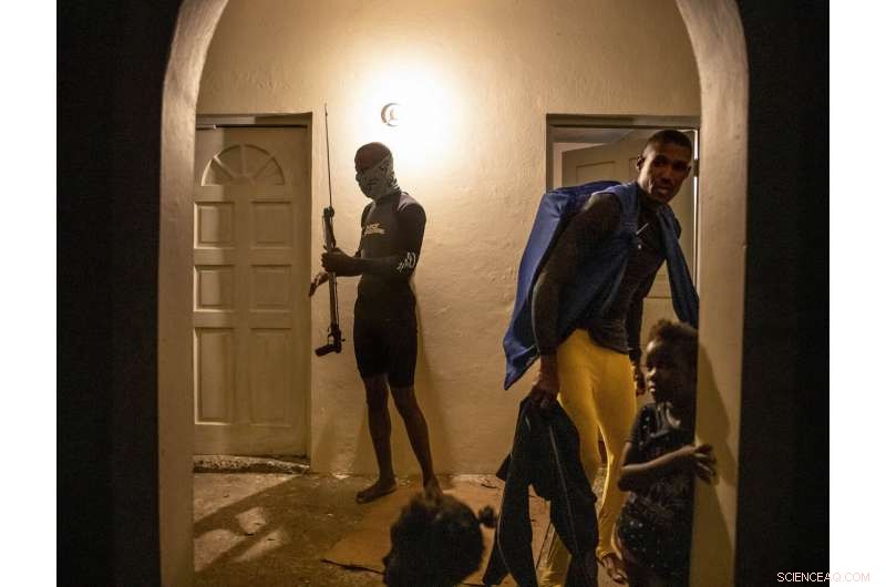 Jamaica s Coral Reefs Rebound: How a Surprise Rescue Demonstrates Nature s Healing Power