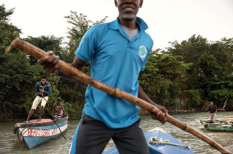 Jamaica s Coral Reefs Rebound: How a Surprise Rescue Demonstrates Nature s Healing Power