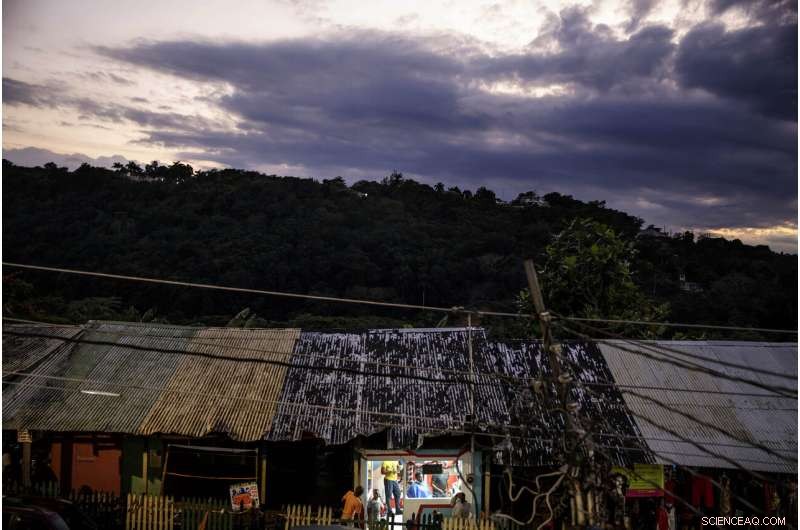 Jamaica s Coral Reefs Rebound: How a Surprise Rescue Demonstrates Nature s Healing Power
