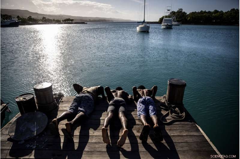 Jamaica s Coral Reefs Rebound: How a Surprise Rescue Demonstrates Nature s Healing Power