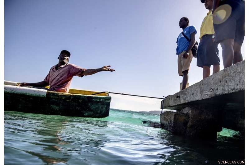 Jamaica s Coral Reefs Rebound: How a Surprise Rescue Demonstrates Nature s Healing Power