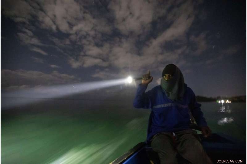 Jamaica s Coral Reefs Rebound: How a Surprise Rescue Demonstrates Nature s Healing Power
