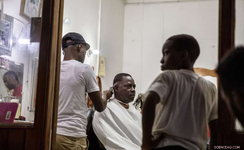 Jamaica s Coral Reefs Rebound: How a Surprise Rescue Demonstrates Nature s Healing Power