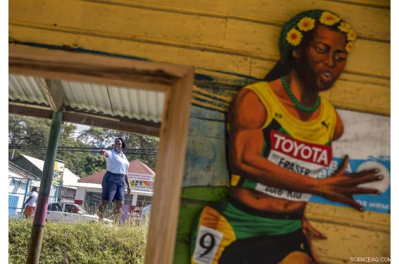Jamaica s Coral Reefs Rebound: How a Surprise Rescue Demonstrates Nature s Healing Power