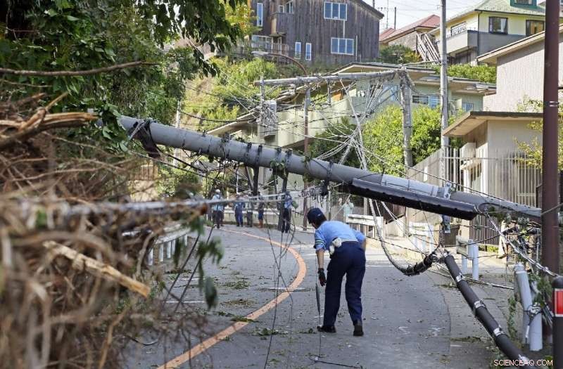 Japan s Post-Typhoon Power Outage Highlights Need for Improved Disaster Preparedness