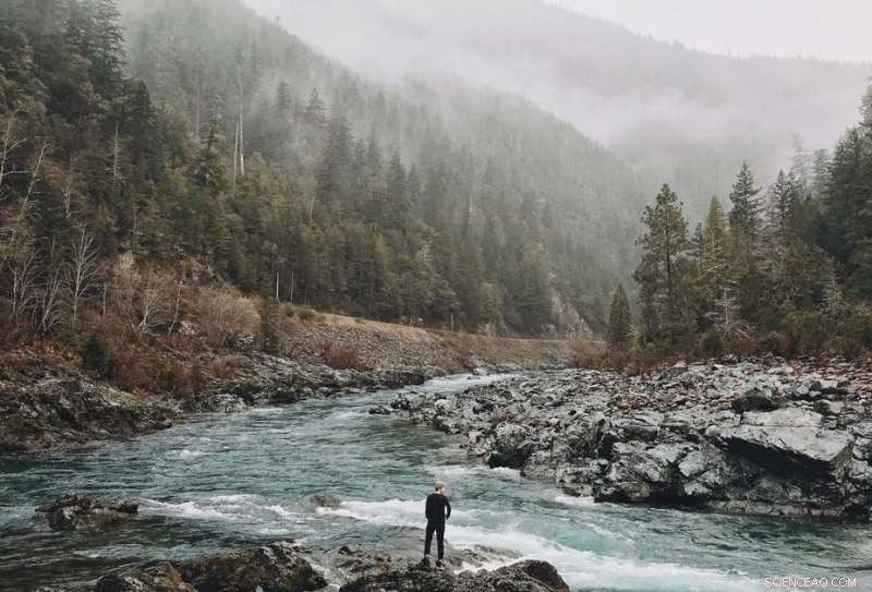 Unifying Humanity and Nature: The Key to Solving the Climate Crisis