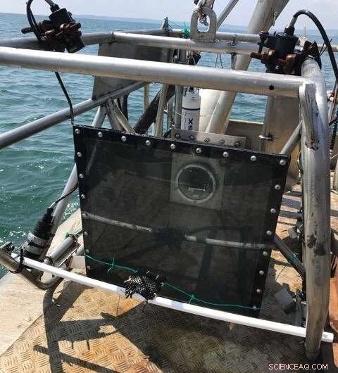 Unveiling Murky Waters: Swansea Student Uses Freshwater Lens to Observe Aquatic Life