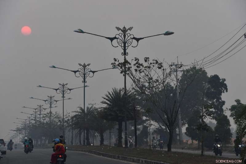 Indonesia Fires Force School & Airport Closures, Threatening Singapore F1 Event