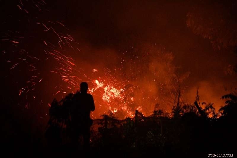 Indonesia Fires Force School & Airport Closures, Threatening Singapore F1 Event