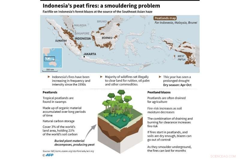 Indonesia Fires Force School & Airport Closures, Threatening Singapore F1 Event