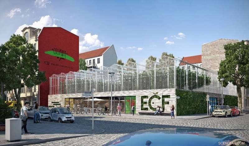 Aquaponic Farming: Driving Urban Circular Economies with Sustainable, Natural Processes