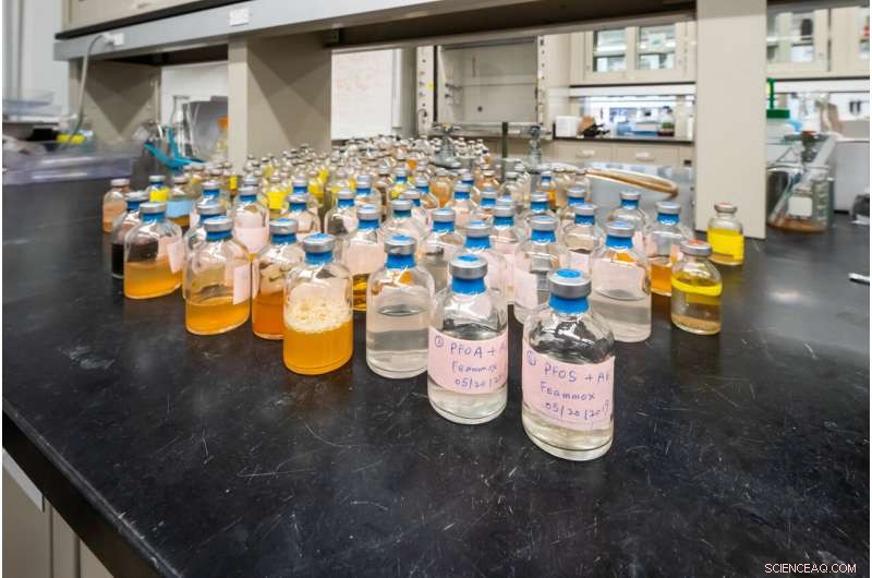 Soil Bacterium Breaks Down PFAS and Other Persistent Pollutants