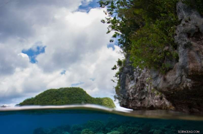 Protecting Coral Reefs Benefits All Ecosystems—Why Stronger Actions Matter