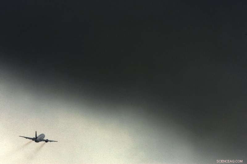 Tree Planting as a Carbon Offset: Effective but Not a Panacea