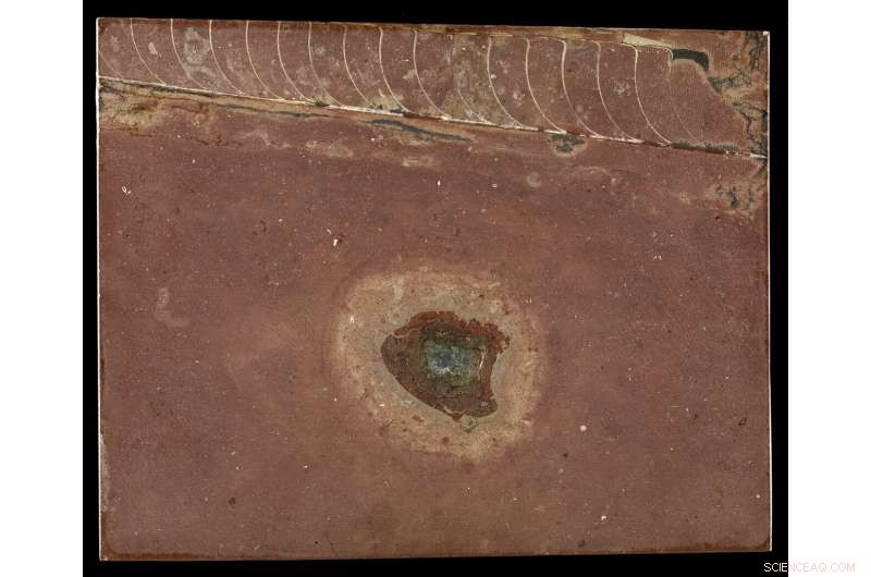 Asteroid Dust Triggered an Ice Age 466 Million Years Ago