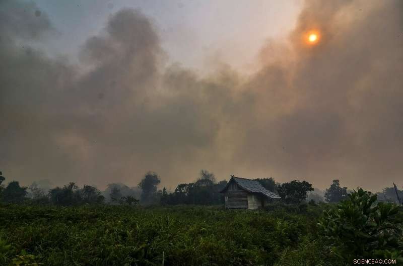 Malaysia & Indonesia Close Thousands of Schools Due to Toxic Haze from Forest Fires