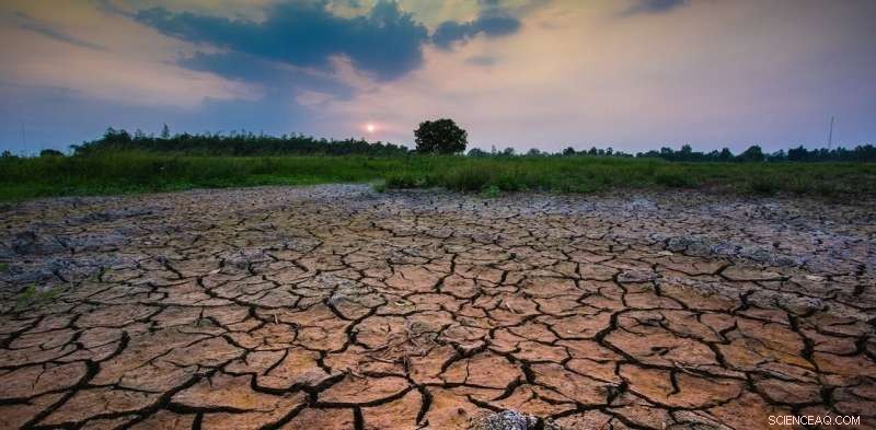 Are Schools Adequately Teaching Kids About Climate Change? Find Out the Truth