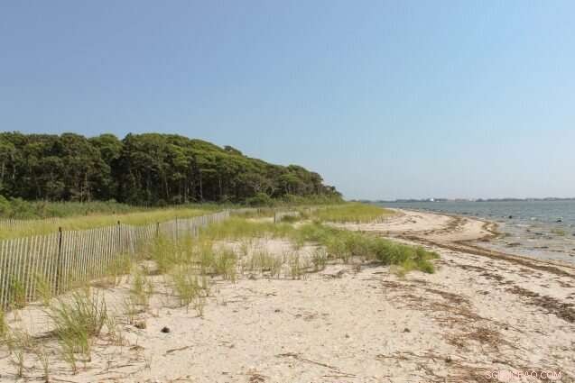 Shinnecock Tribe Revitalizes Long Island Shoreline, Restoring Nature and Community