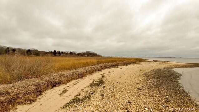 Shinnecock Tribe Revitalizes Long Island Shoreline, Restoring Nature and Community