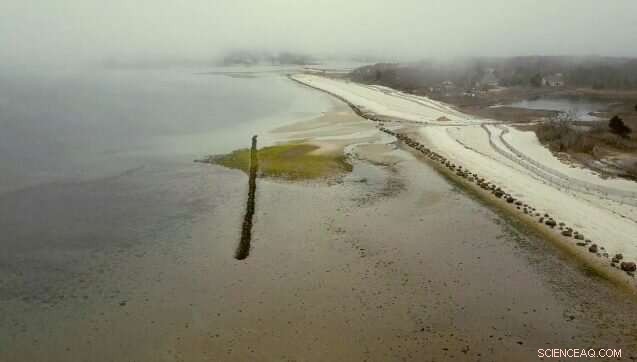 Shinnecock Tribe Revitalizes Long Island Shoreline, Restoring Nature and Community