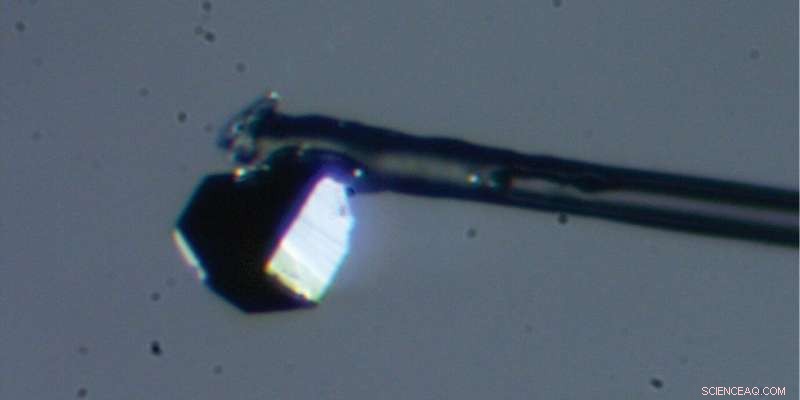 University of Alberta PhD Student Uncovers Rare Mineral Inside a Diamond