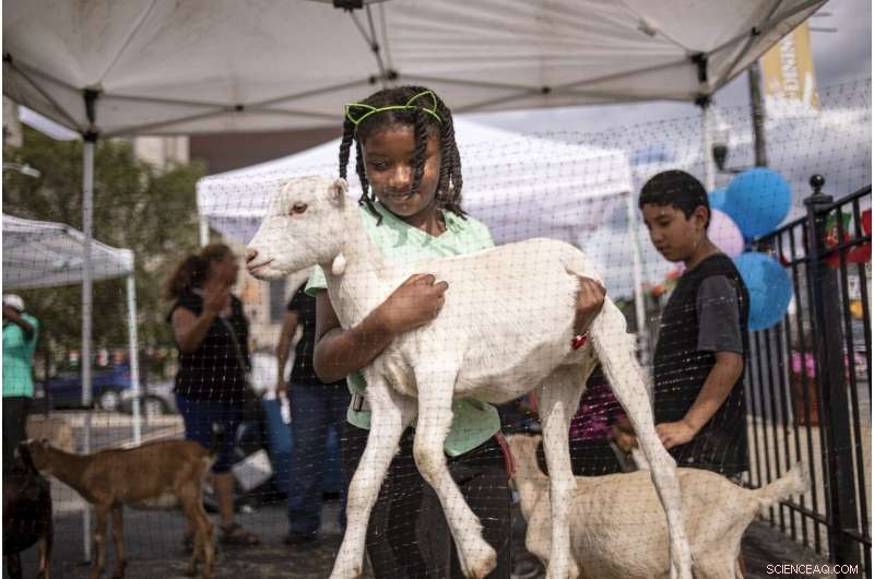 Urban Gardens and Public Produce Stands Combat Food Deserts