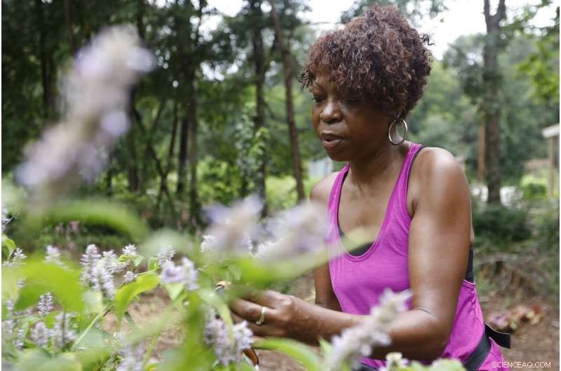 Urban Gardens and Public Produce Stands Combat Food Deserts