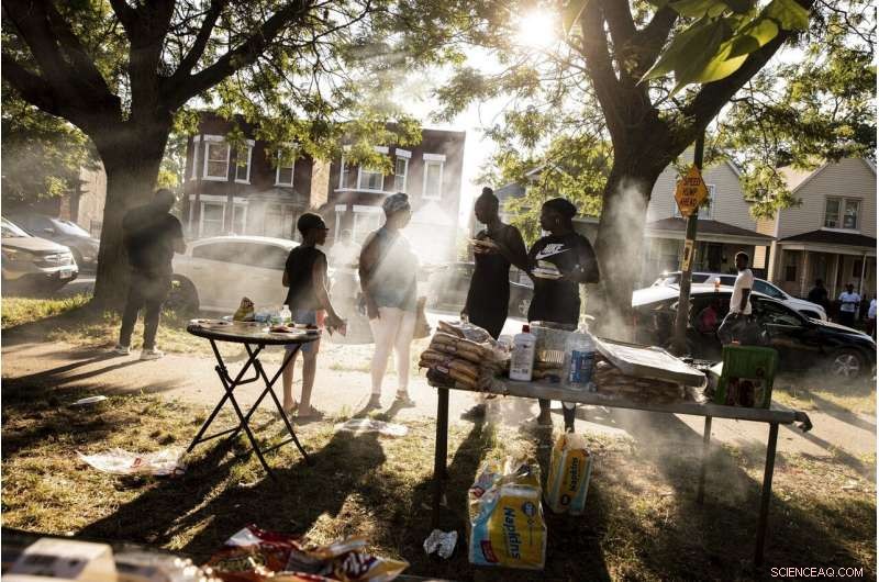 Urban Gardens and Public Produce Stands Combat Food Deserts