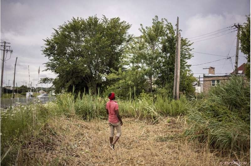 Urban Gardens and Public Produce Stands Combat Food Deserts