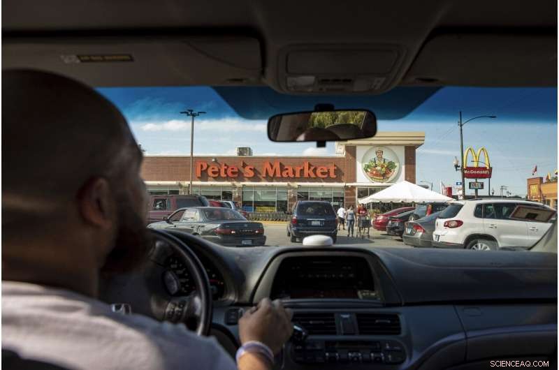 Urban Gardens and Public Produce Stands Combat Food Deserts
