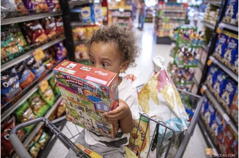 Urban Gardens and Public Produce Stands Combat Food Deserts