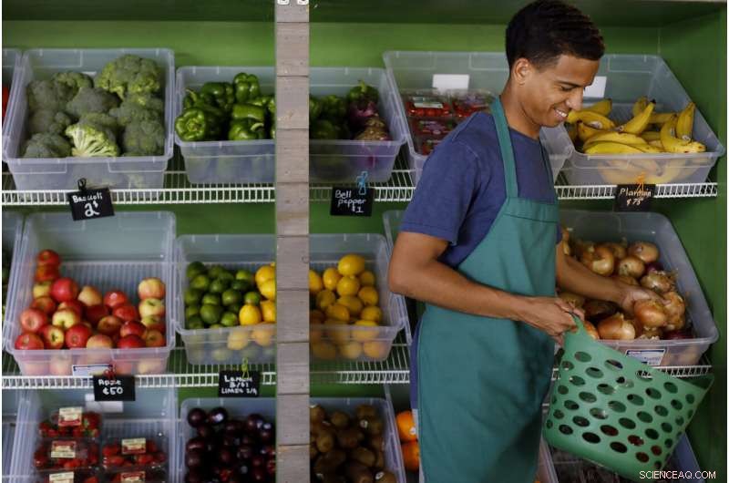 Urban Gardens and Public Produce Stands Combat Food Deserts