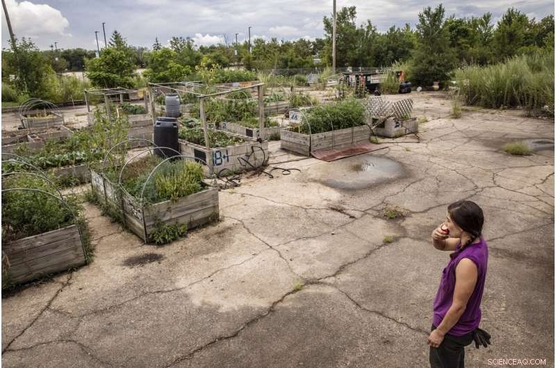 Urban Gardens and Public Produce Stands Combat Food Deserts