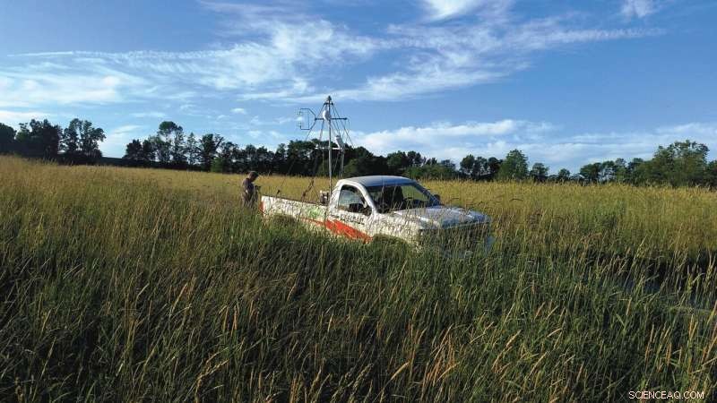 Princeton Researchers Highlight Methane Control as Key, Rapid Path to Mitigate Global Warming