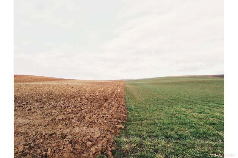 Innovative App Enables Accurate Soil Assessment & Quality Enhancement for Farmers