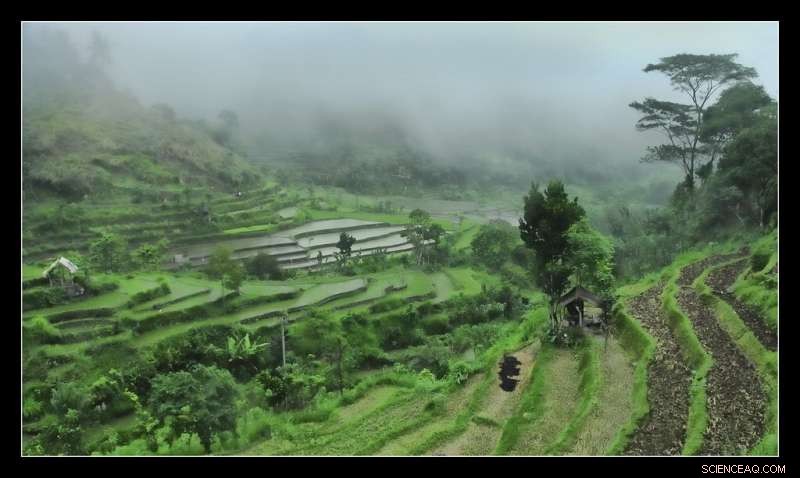 Sumatra’s Daily Rainfall Tied to Global Atmospheric Patterns