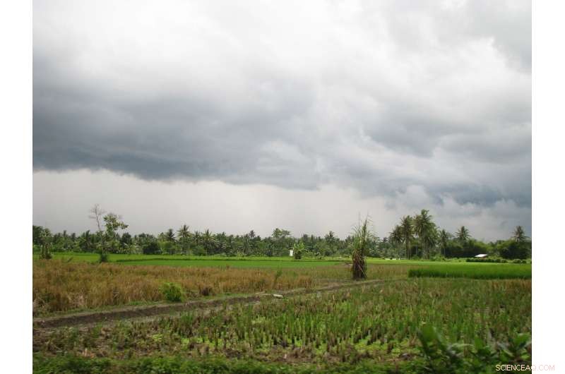 Sumatra’s Daily Rainfall Tied to Global Atmospheric Patterns