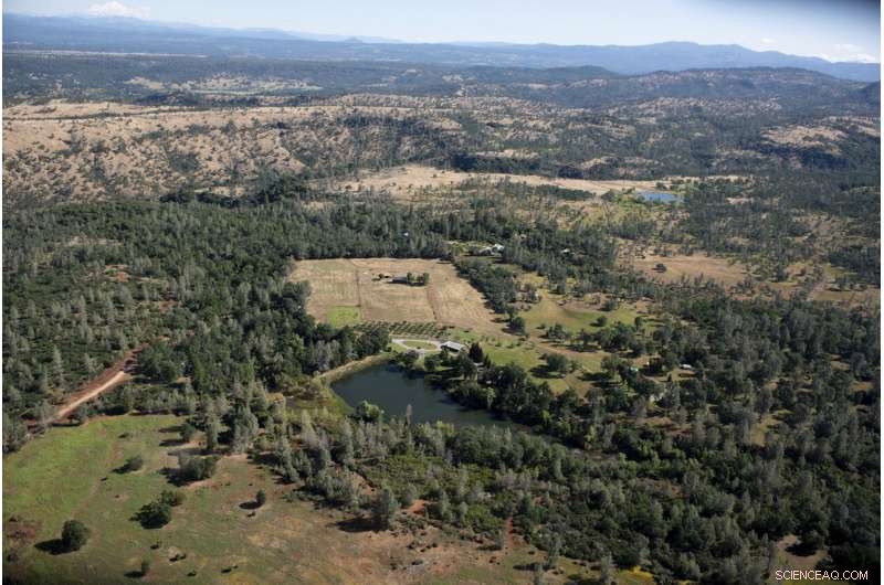 Communities Seek Resilient Strategies Amid Escalating Wildfire Threats