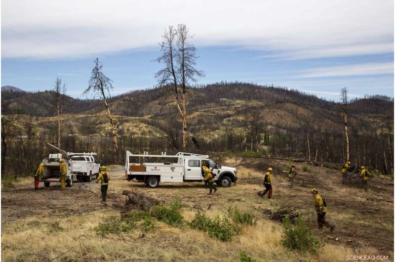 Communities Seek Resilient Strategies Amid Escalating Wildfire Threats