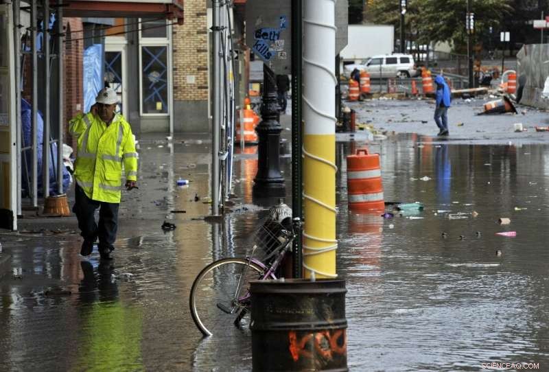 Preparing New York for Rising Seas: A Comprehensive Flood Defense Strategy