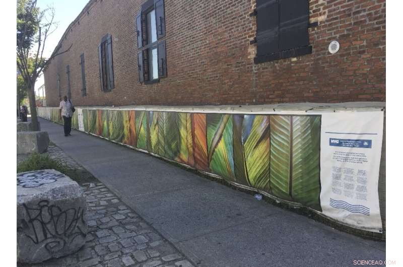 Preparing New York for Rising Seas: A Comprehensive Flood Defense Strategy