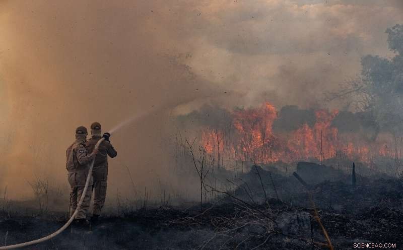 Global Leaders Convene While Amazon Rainforest Faces Alarming Fires