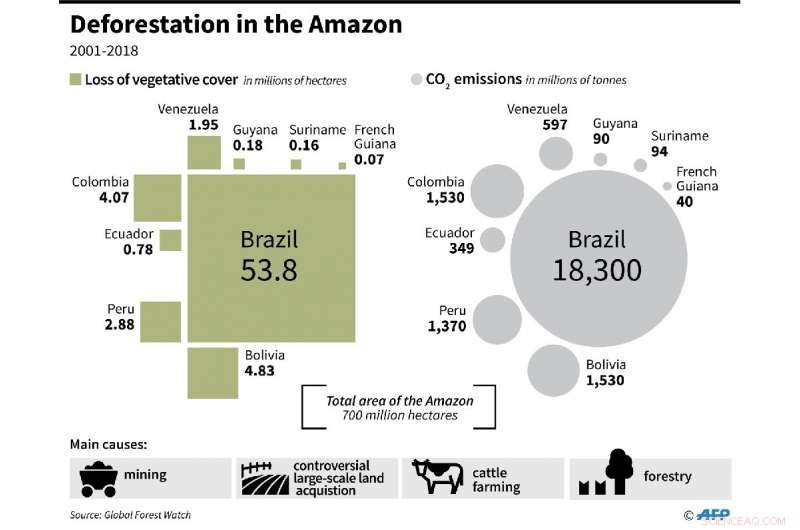 Global Leaders Convene While Amazon Rainforest Faces Alarming Fires