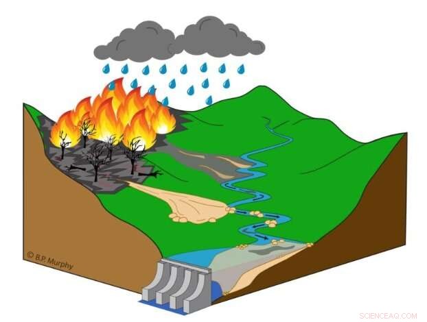 Wildfires Threaten Reservoir Capacity: Key Risks and Mitigation
