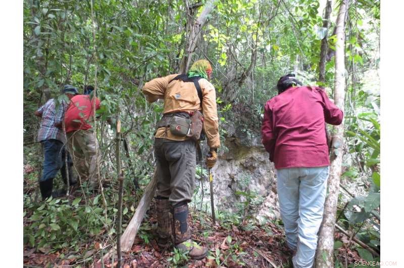 Can Machine Learning Uncover Hidden Geological Features Invisible to Humans?