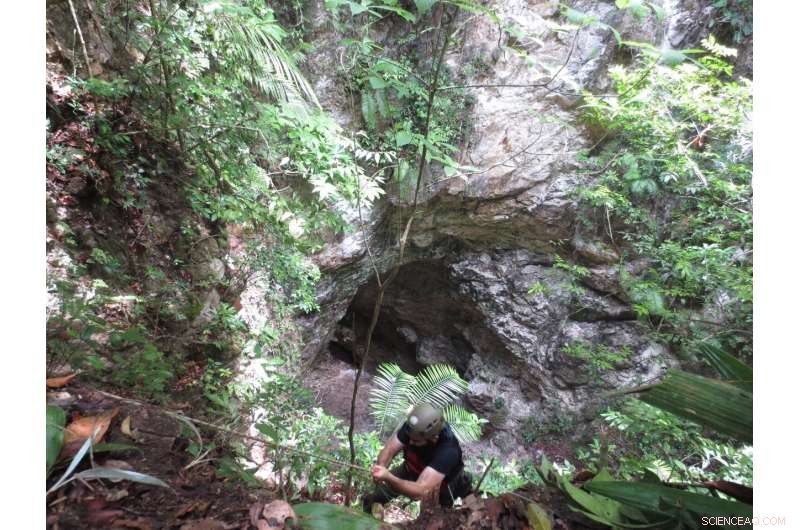 Can Machine Learning Uncover Hidden Geological Features Invisible to Humans?