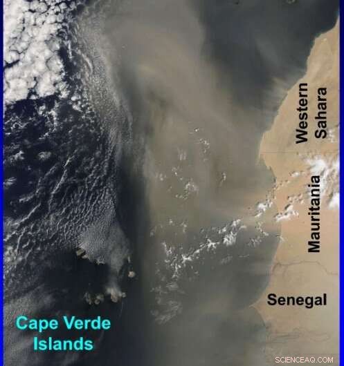 New Evidence Uncovers the True Age of the Sahara Desert